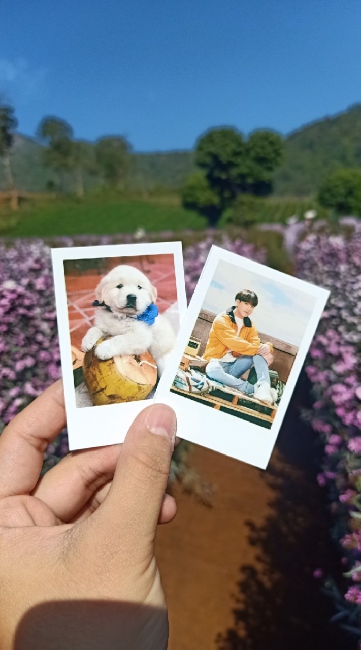 ตัวแทนโพลารอยด์