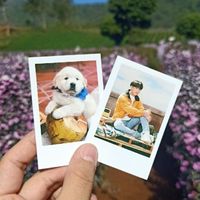 ตัวแทนโพลารอยด์