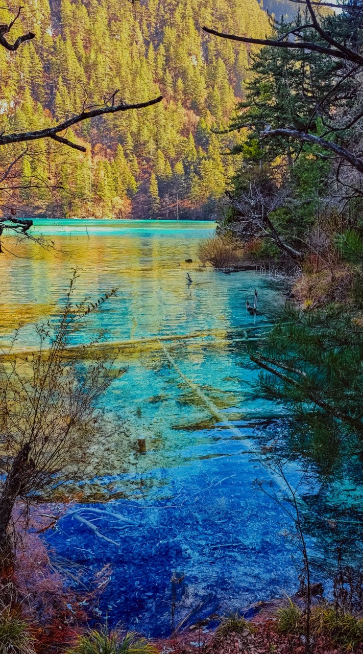 愛旅遊✈️✈️~~跟著📷攝影師的視界👁️‍🗨️👁️‍🗨️一起出發go🧳🧳