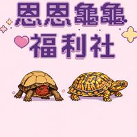恩恩龜龜福利社