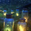 奇拉拉心靈庇護花園