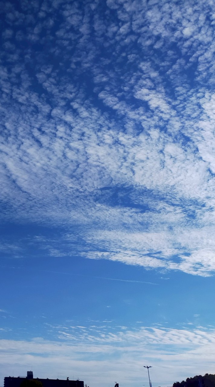 めちゃ自由オプ(中学生のみ！)