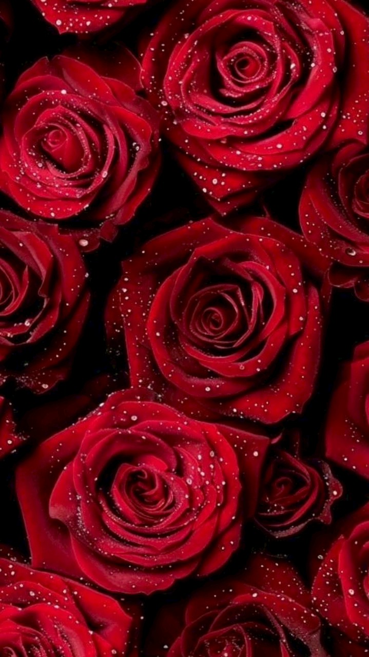 愛沢のお知らせ🪽🫧