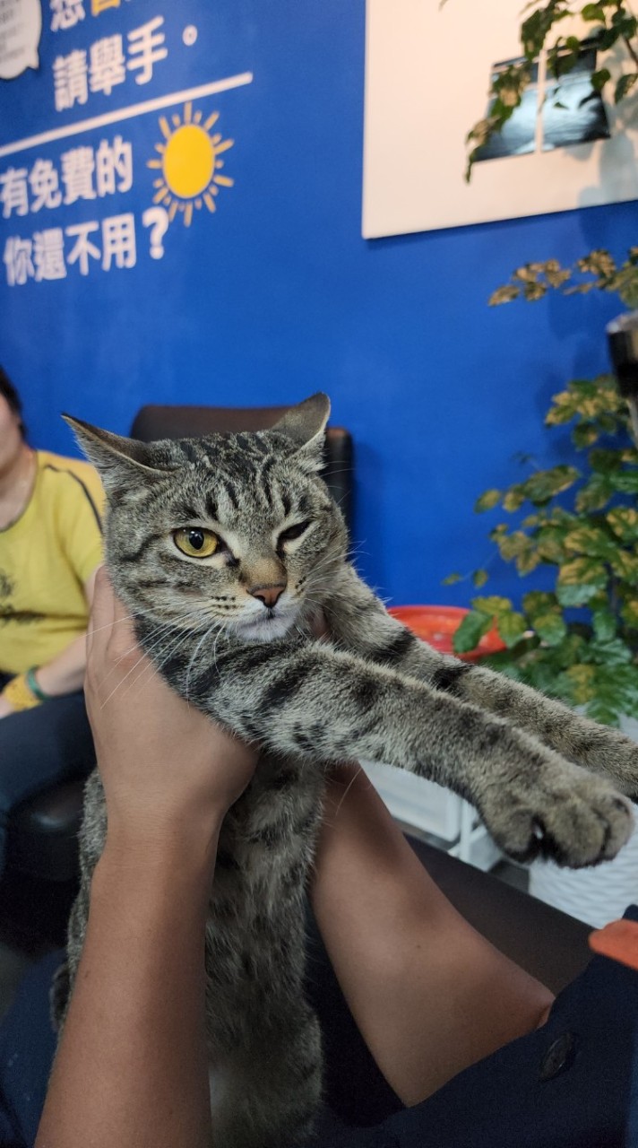 不知道為什麼要創這個社群
