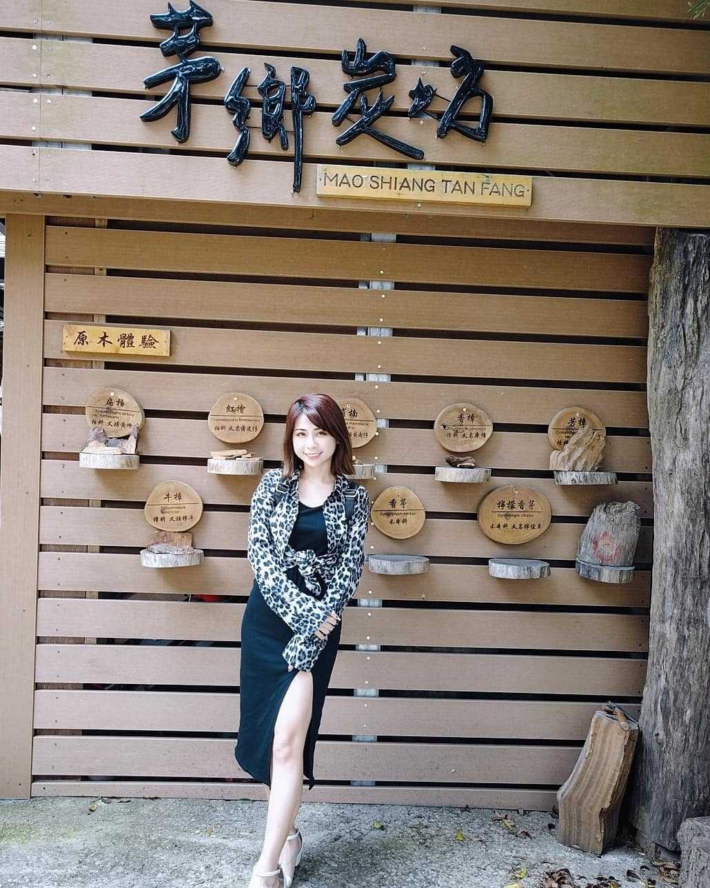 苗栗伴手禮 ｜茅鄉炭坊