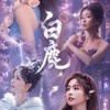 𓂃 ☾ 白鹿入夢.相思無涯 ☾ 𓂃          內娛、韓娛 追星夢境