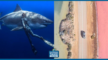 距離大白鯊最近且最安全的景點南澳洲的冒險公路之旅