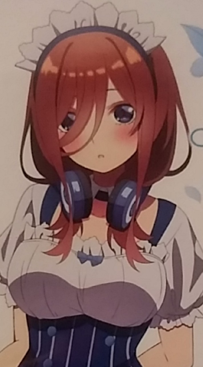 中野三玖&戦国武将を尊ぶ、尊ぶまでいかなくとも好きな人が集う会