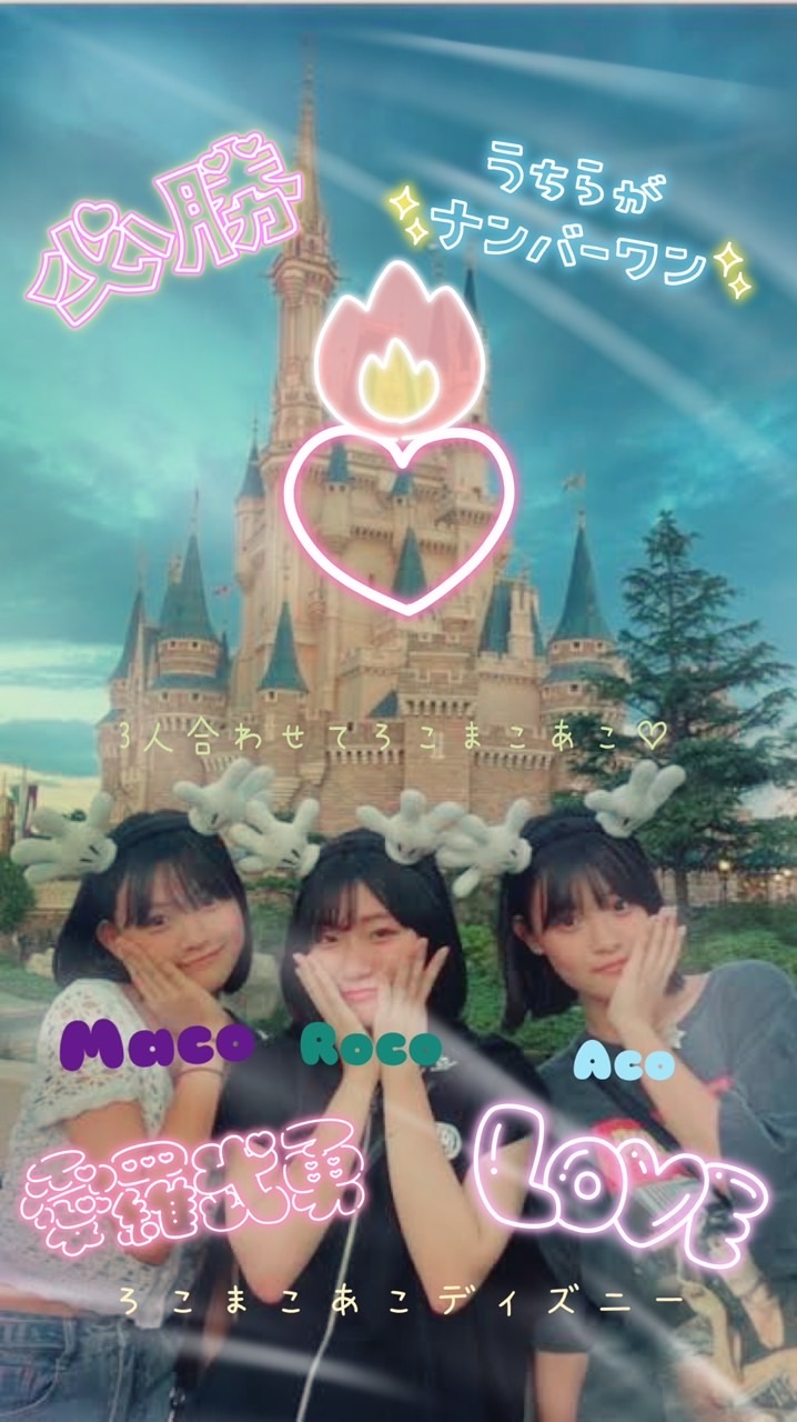 ろこまこあこディズニー