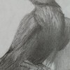 絵が好きな人で集まろう！