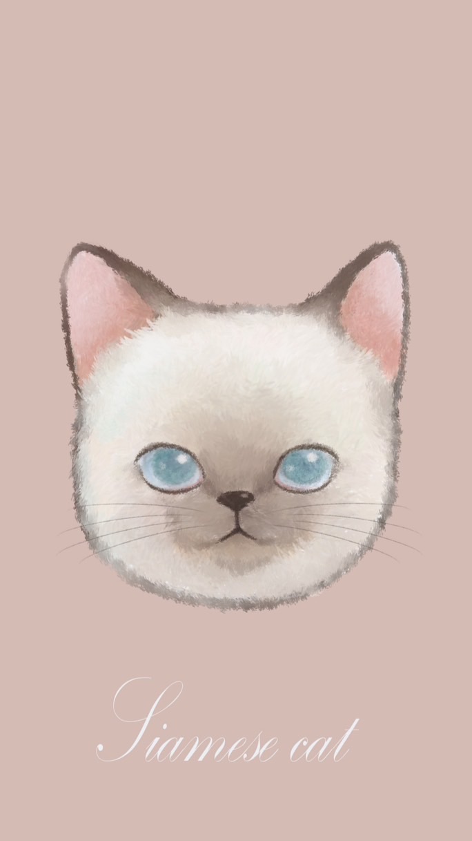 猫日屋 日系服飾