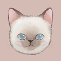 猫日屋 日系服飾