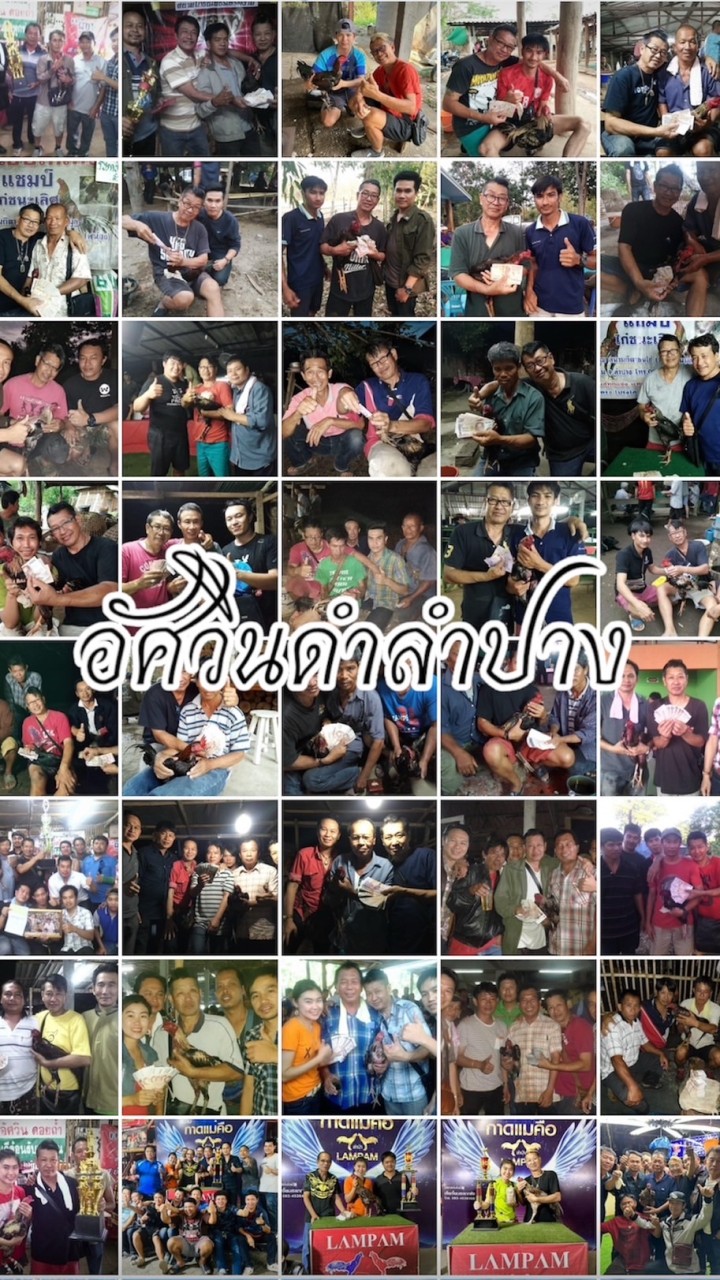 อัศวินดำลำปาง