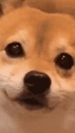 609