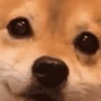 609