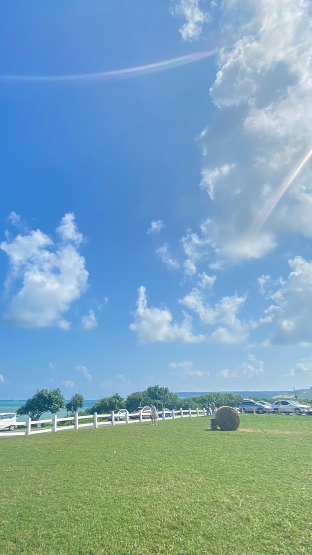 全聯苓雅中正一好康揪團Go