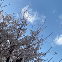 女性限定💁🏻‍♀️【自己破産・債務整理】　　準備中、経験者の方