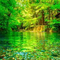 【全国】ゆっくり☺️ぼちぼち😌旅好き集まれ、各地のオススメ情報、雑談部屋