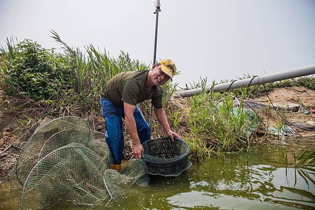 ▲為了吃得健康賣的有良心，誕生了以海洋深層水飼養的好蝦（圖/奧丁丁市集）