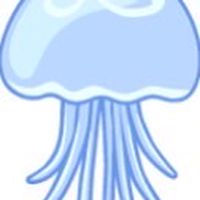 くらげ民🪼𓂃🫧‪