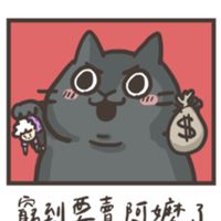 神聖聯盟✨️