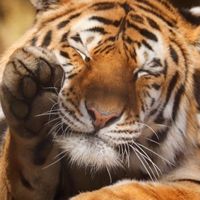やっぱ泉州やろっ！