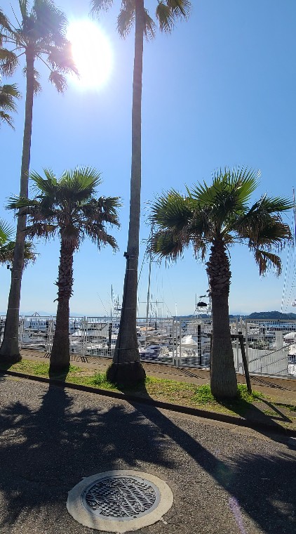 雑談・ドライブ🌴横浜湘南☀️神奈川