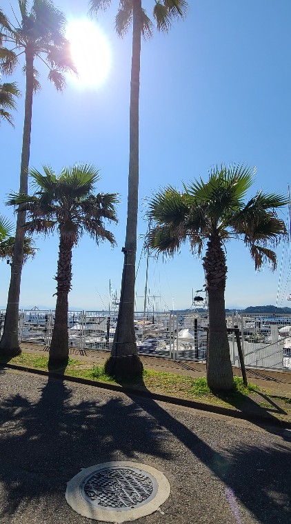 ドライブ🌴横浜湘南