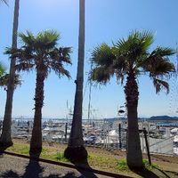 雑談・ドライブ🌴横浜湘南☀️神奈川