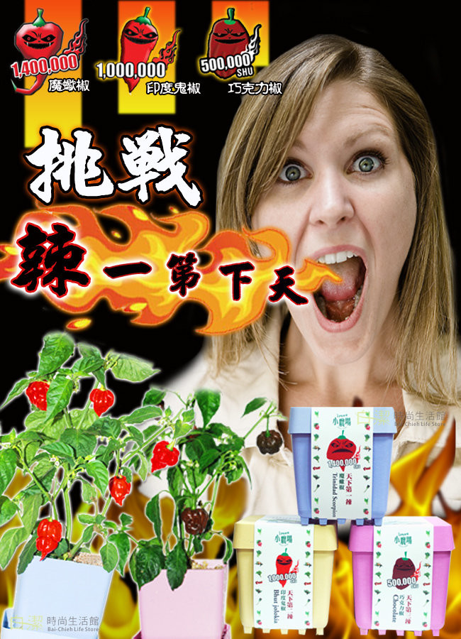 *療癒商品*iPlant開心積木小農場 輕鬆種盆栽系列