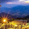 晨月緣（藤枝）營友群