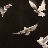 ☾ ⟡ ✧ 進撃緩也 ✧ ⟡ ☽