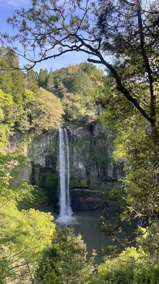 森と水。命のつながり