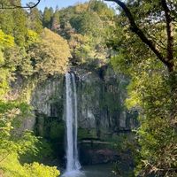 森と水。命のつながり