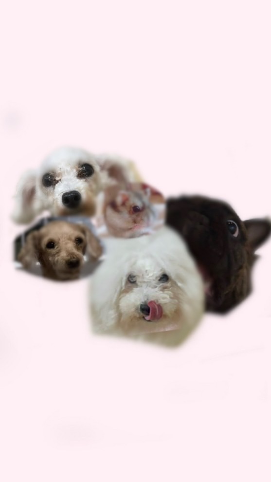 全nrkrはここだよ お前らの帰りを待ってたにゃーん