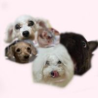 全nrkrはここだよ お前らの帰りを待ってたにゃーん