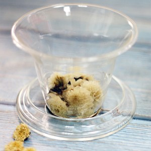 iLoveGlass 玻璃濾茶器