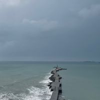 海洋世界研究群