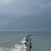 海洋世界研究群