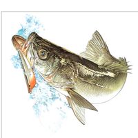 【大分】シーバス 情報🎣