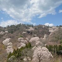 Over50 [50代60代ライダー・女性限定]関西