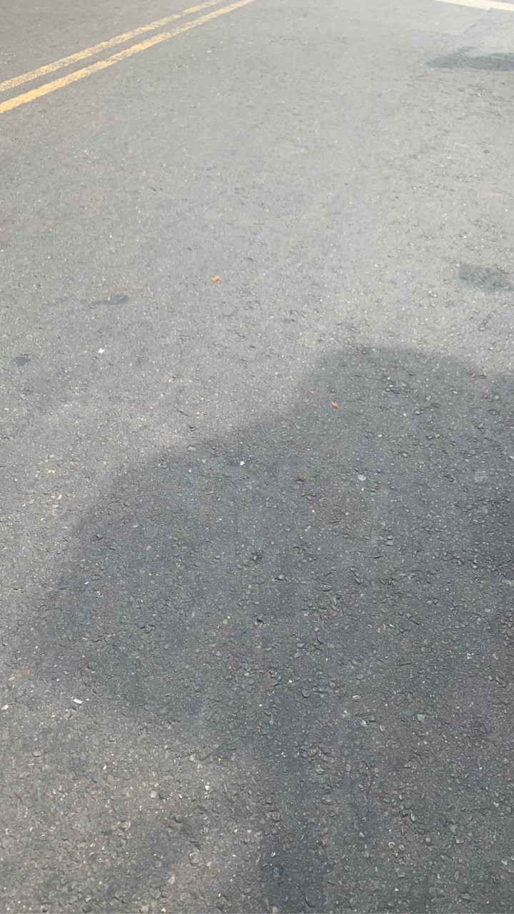 國境之南自行車弱弱的騎
