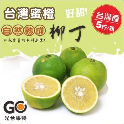 【光合果物】嚴選台灣甜橙柳丁 10-12大顆(5斤±10%/箱)