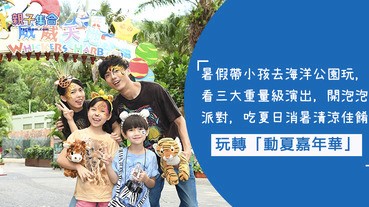 玩轉「動夏嘉年華」，看三大重量級演出，與威威開泡泡派對，吃夏日消暑清涼佳餚！