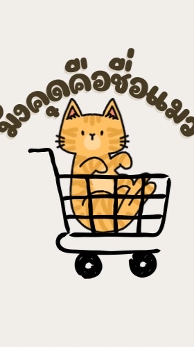 มังคุดคือชื่อแมว