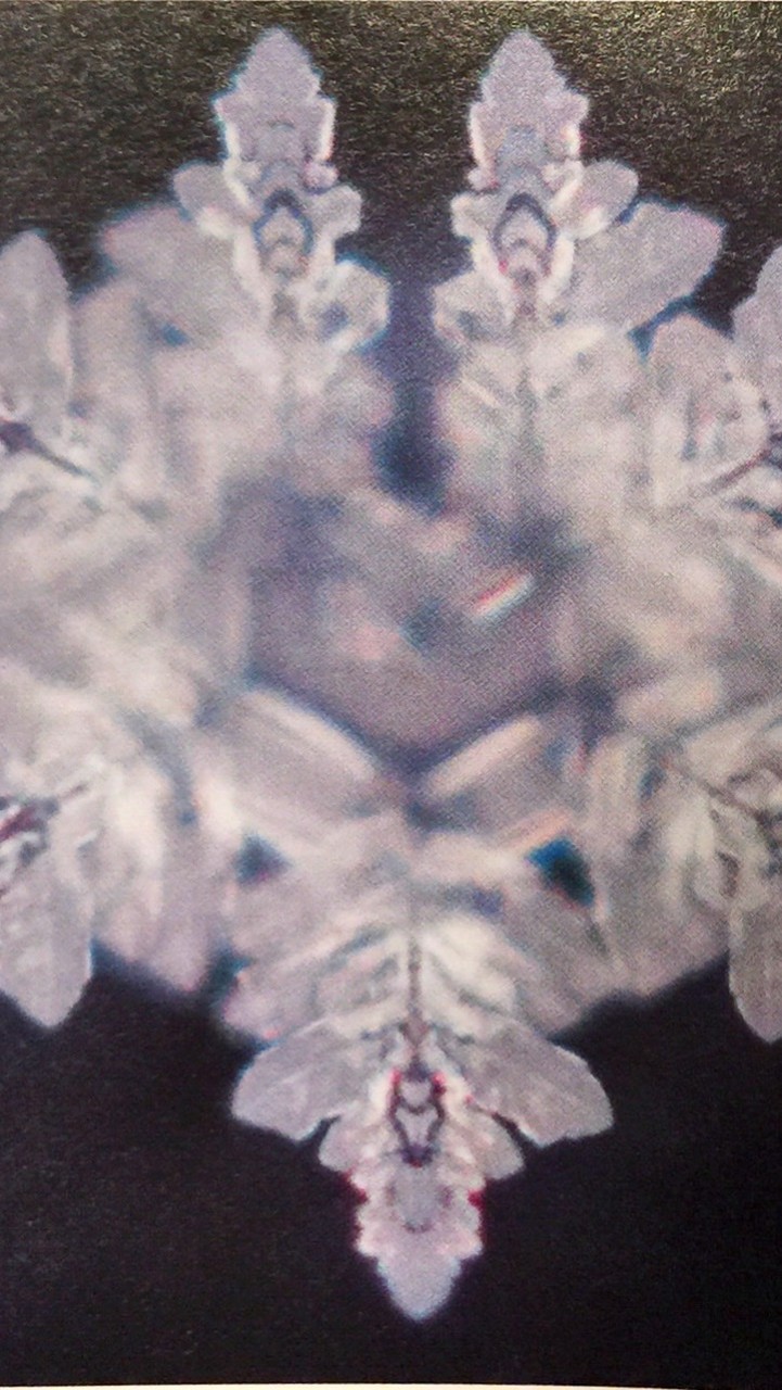 ジェリクルシャワー