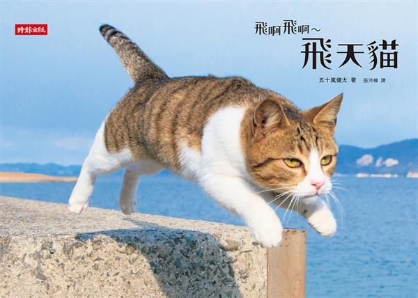 在網路上引起瘋狂討論的「飛天貓」來了！ 什麼？！貓也會飛嗎？ 在日本貓咪御用攝影...