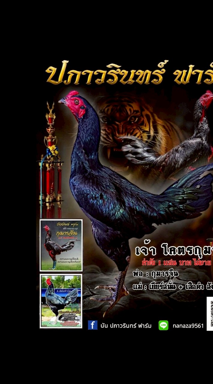 ปภาวรินทร์ฟาร์ม