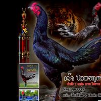 ปภาวรินทร์ฟาร์ม