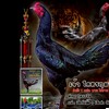 ปภาวรินทร์ฟาร์ม